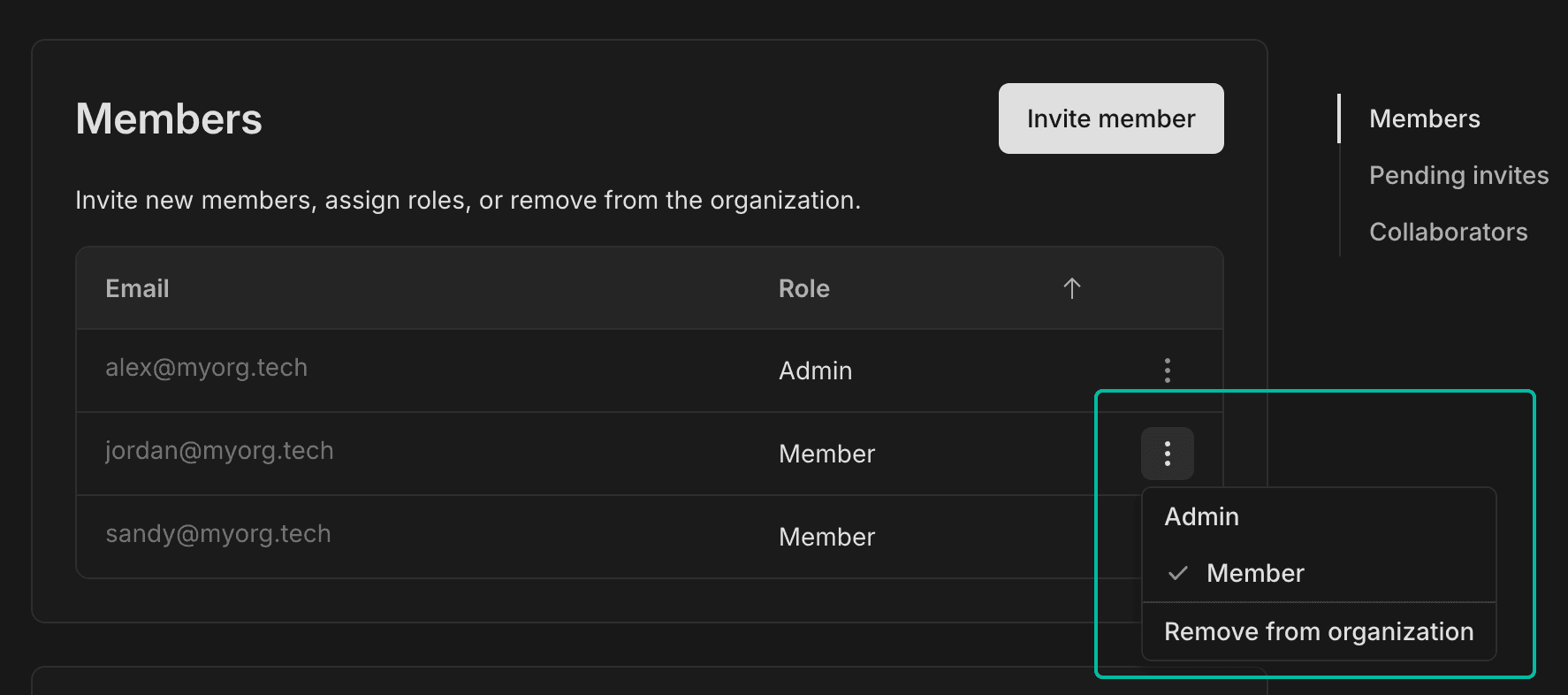 organization members